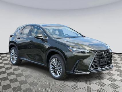 2025 Lexus NX 350 Chantilly VA
