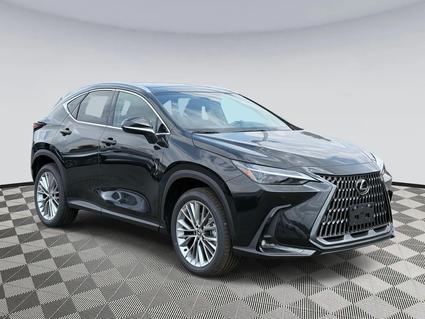 2025 Lexus NX 350 Chantilly VA