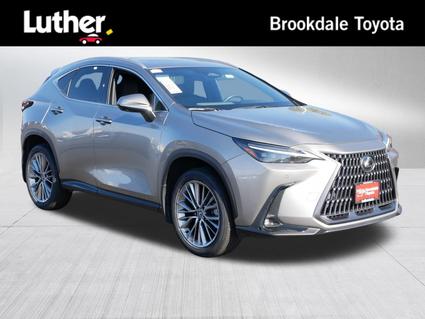 2024 Lexus NX 350 Minneapolis MN