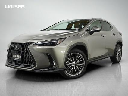 2024 Lexus NX 350 Minneapolis MN