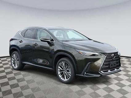 2026 Lexus NX 350 Chantilly VA