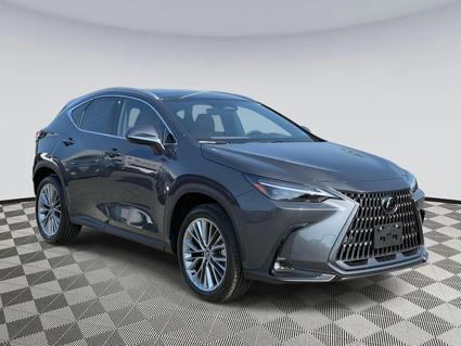 2025 Lexus NX 350 Chantilly VA