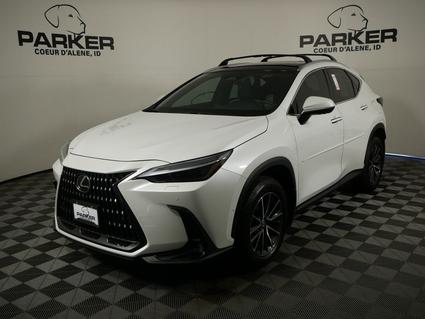 2024 Lexus NX 350h Coeur d'Alene ID