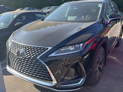 2020 Lexus RX 350 Albertville AL