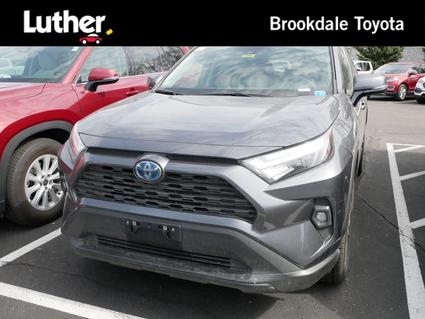 2024 Toyota RAV4 Hybrid Minneapolis MN