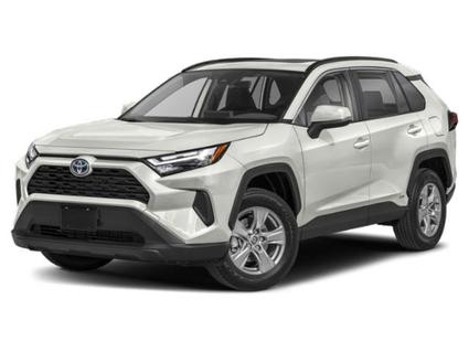 2022 Toyota RAV4 Minneapolis MN