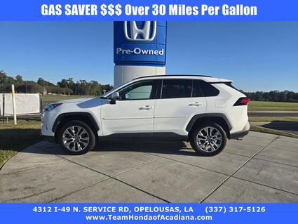 2019 Toyota RAV4 Opelousas LA
