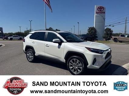 2022 Toyota RAV4 Albertville AL