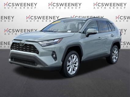 2022 Toyota RAV4 Pell City AL