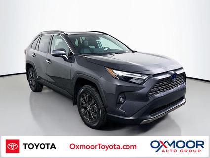 2024 Toyota RAV4 Hybrid Louisville KY