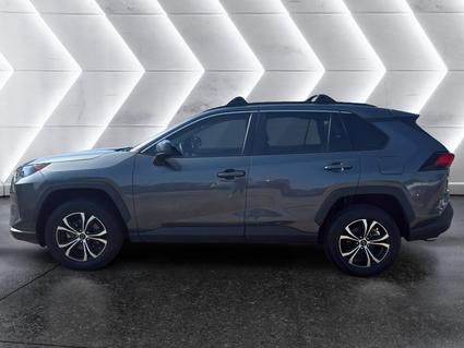 2019 Toyota RAV4 Tuscumbia AL