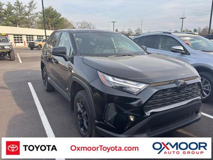 2025 Toyota RAV4 Louisville KY