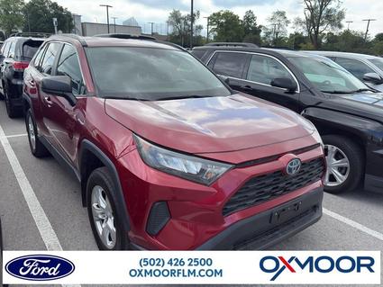2019 Toyota RAV4 Louisville KY