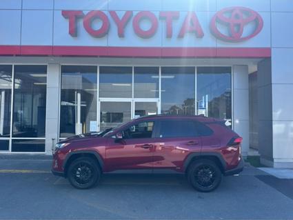 2025 Toyota RAV4 Hybrid Eureka CA