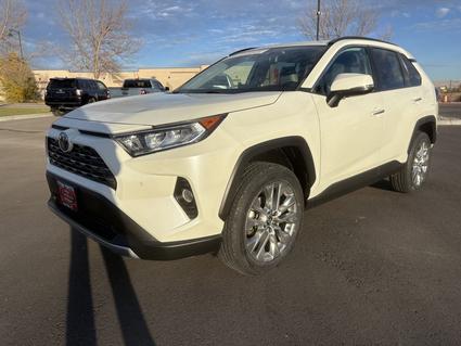 2019 Toyota RAV4 Idaho Falls ID