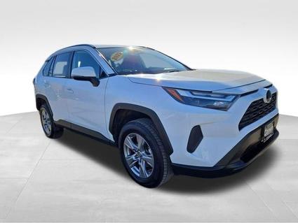 2023 Toyota RAV4 Kalispell MT
