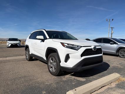 2025 Toyota RAV4 Albuquerque NM
