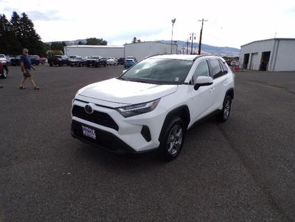 2024 Toyota RAV4 Cody WY