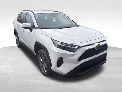 2023 Toyota RAV4 Kalispell MT