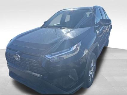 2023 Toyota RAV4 Kalispell MT