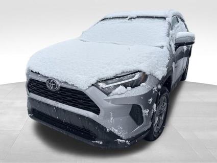 2023 Toyota RAV4 Kalispell MT