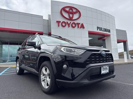 2019 Toyota RAV4 Pullman WA