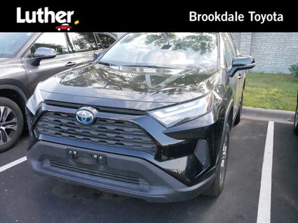 2024 Toyota RAV4 Hybrid Minneapolis MN