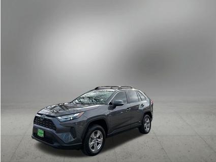 2022 Toyota RAV4 Glenwood Springs CO