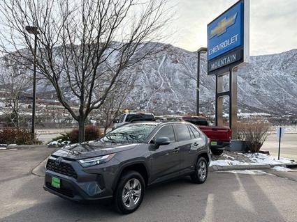 2022 Toyota RAV4 Glenwood Springs CO