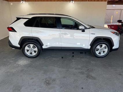 2019 Toyota RAV4 Missoula MT