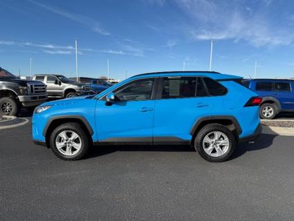 2019 Toyota RAV4 Idaho Falls ID