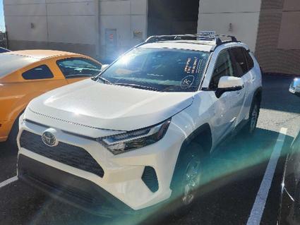 2025 Toyota RAV4 Phoenix AZ