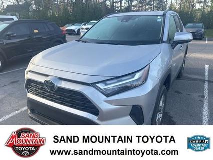 2025 Toyota RAV4 Albertville AL