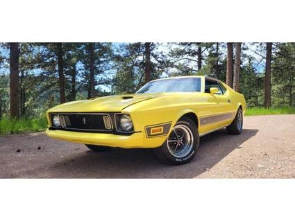1973 Ford Mustang Mach 1 Fastback Webster SD