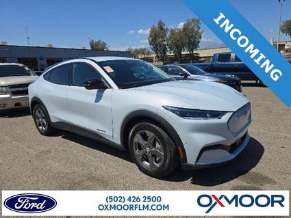 2023 Ford Mustang Mach-E Louisville KY