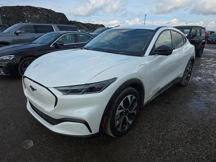 2024 Ford Mustang Mach-E Richmond VA