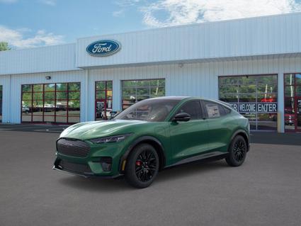 2025 Ford Mustang Mach-E Virginia Beach VA