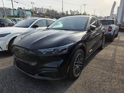 2026 Ford Mustang Mach-E Knoxville TN