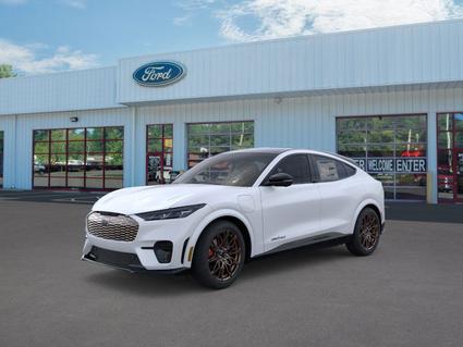 2025 Ford Mustang Mach-E Virginia Beach VA