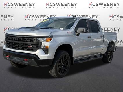 2022 Chevrolet Silverado Pell City AL