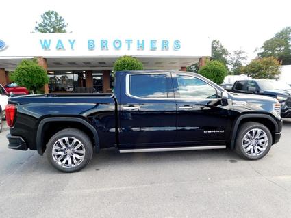 2025 GMC Sierra Hawkinsville GA