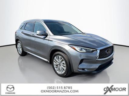 2023 INFINITI QX50 Louisville KY