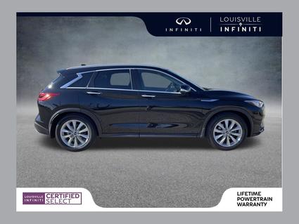 2019 INFINITI QX50 Louisville KY