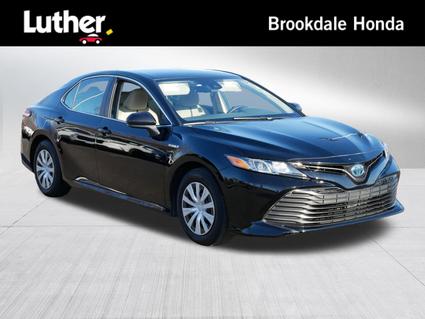 2019 Toyota Camry Minneapolis MN
