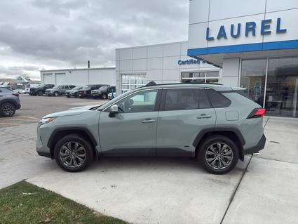 2022 Toyota RAV4 Laurel MT