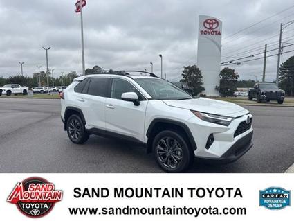 2024 Toyota RAV4 Hybrid Albertville AL