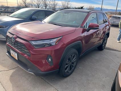 2022 Toyota RAV4 Loveland CO