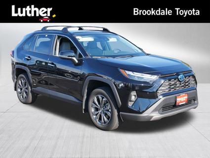 2022 Toyota RAV4 Minneapolis MN