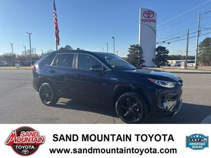 2020 Toyota RAV4 Albertville AL