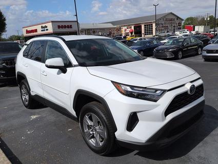 2024 Toyota RAV4 Hybrid Henderson KY